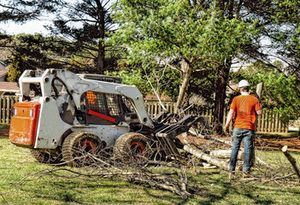 tree removal