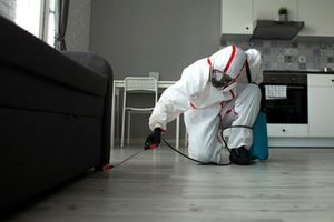 pest control
